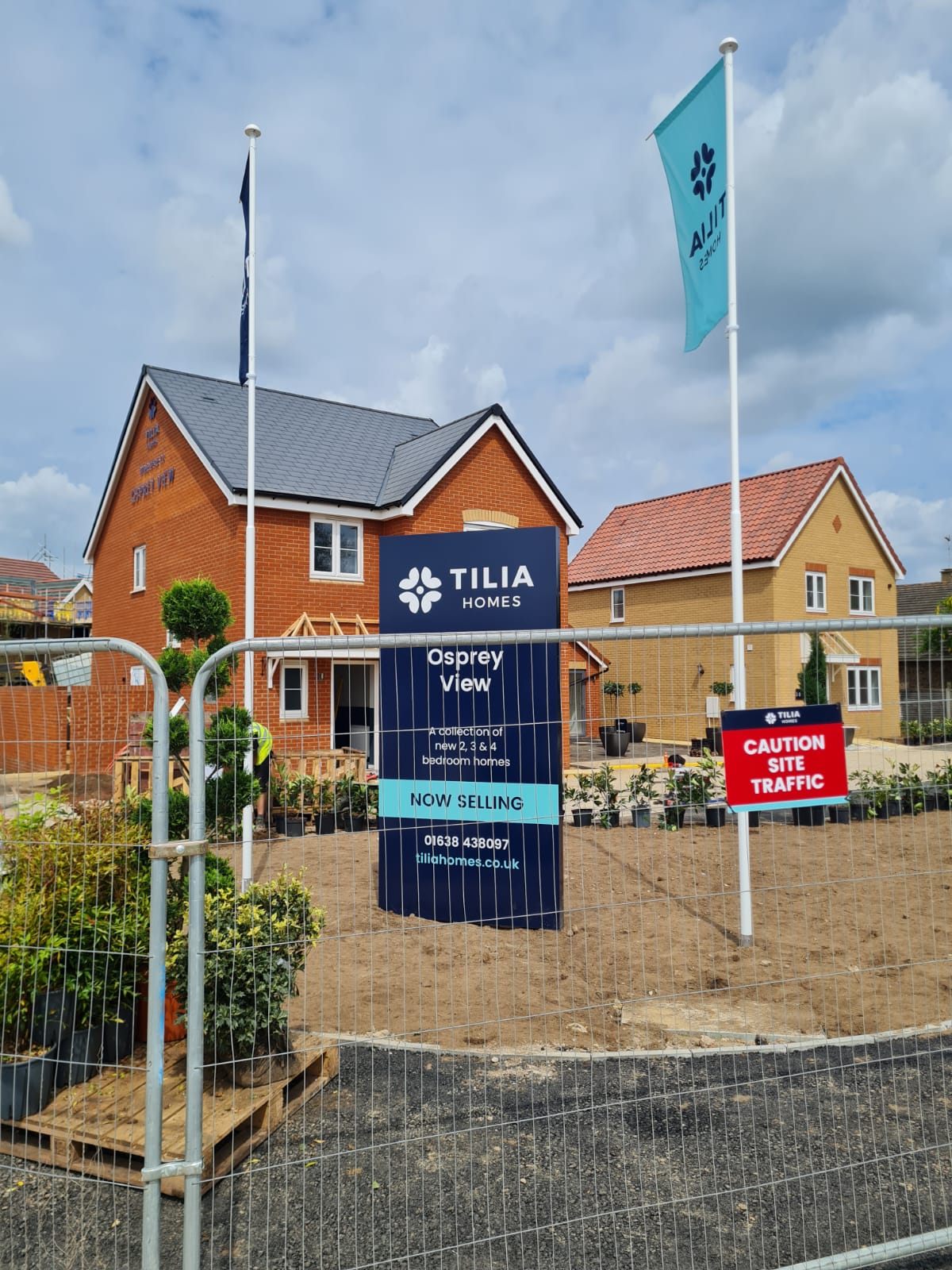 Tilia Homes